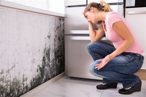If you have a friend who can help you, have them assist you with this task. . Tenant relocation due to mold california